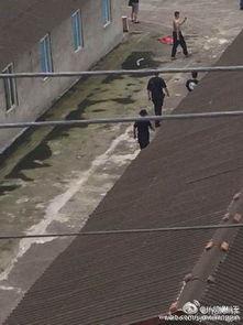 什邡市工地视频爆料,安全隐患引人关注 第3张 什邡市工地视频爆料,安全隐患引人关注 第3张