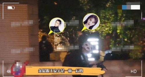 王安宇恋情爆料最新视频,甜蜜互动引网友热议 第1张 王安宇恋情爆料最新视频,甜蜜互动引网友热议 第1张